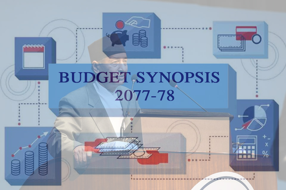 Budget Synopsis