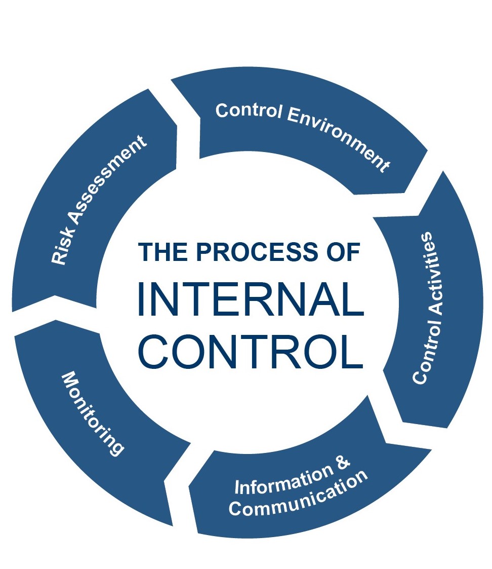 elements-and-objectives-of-internal-control-project-management